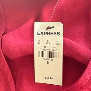 Express maroon dress